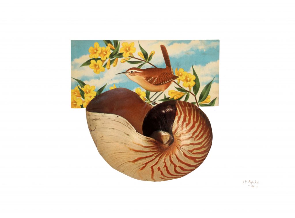 BalancingCollage
