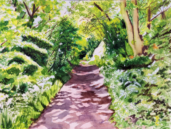 Sunlit Path